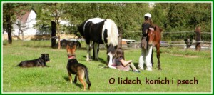 logodogandhorse